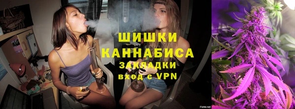 прущие грибы Фурманов