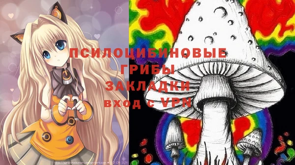 МДПВ Чердынь