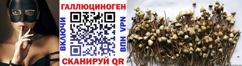 Галлюциногенные грибы мицелий  Усть-Катав 